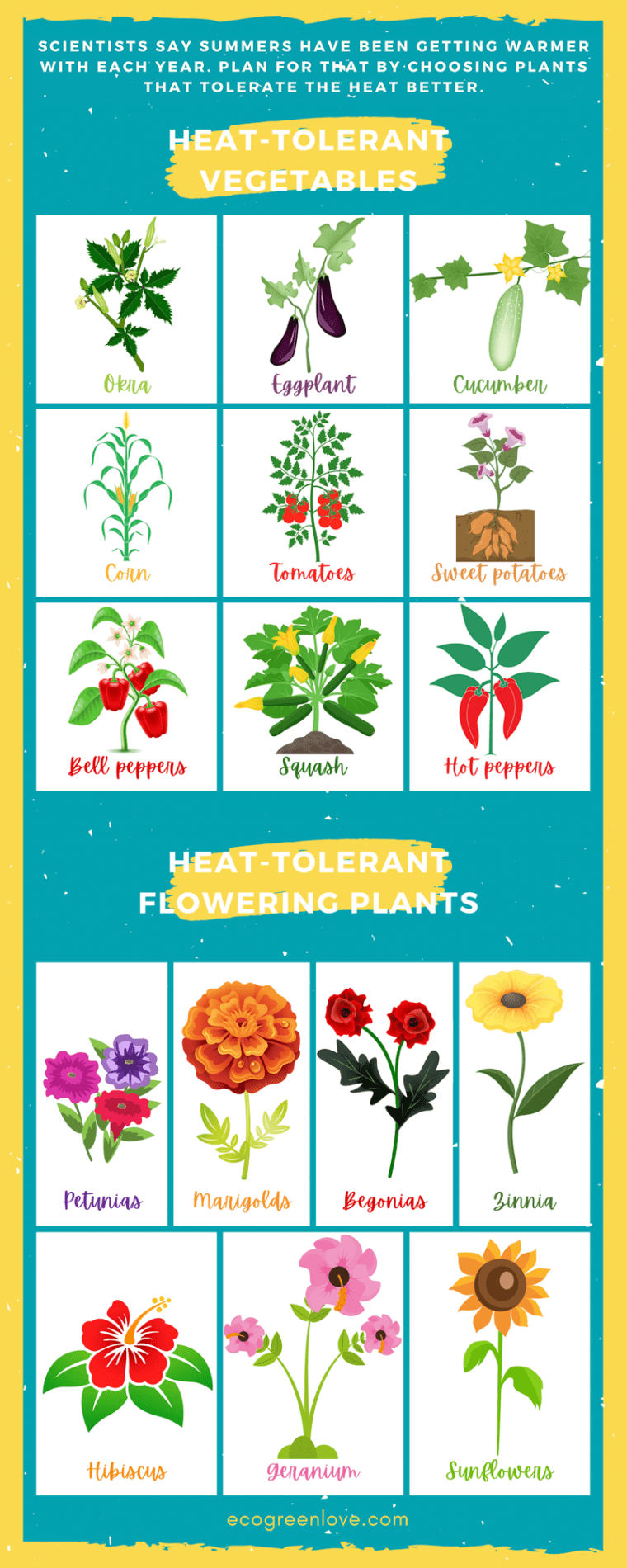 Gardening Tips to Heed This Summer | ecogreenlove