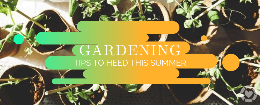 Gardening Tips to Heed This Summer | ecogreenlove