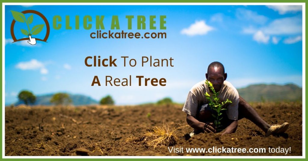 clickatree planting tree