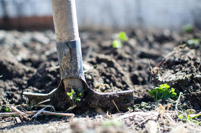 Gardening Tips to Heed This Summer | ecogreenlove
