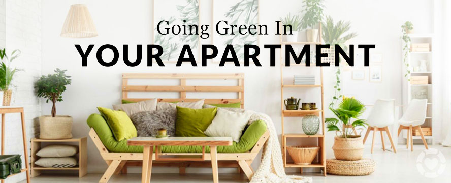 Going Green in your Apartment [Infographic] | ecogreenlove