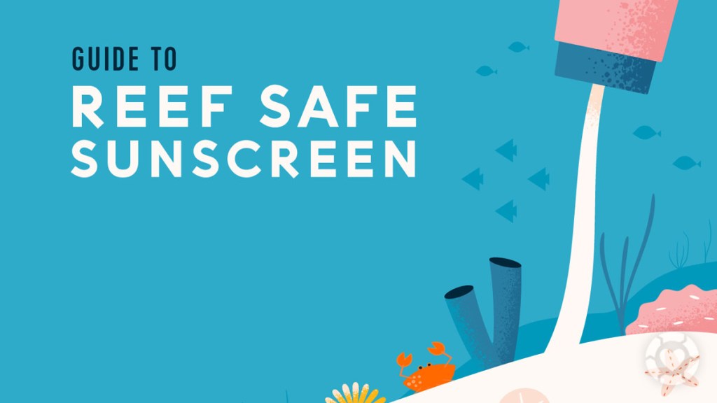 Reef Safe Sunscreen Guide&nbsp;[Visual]