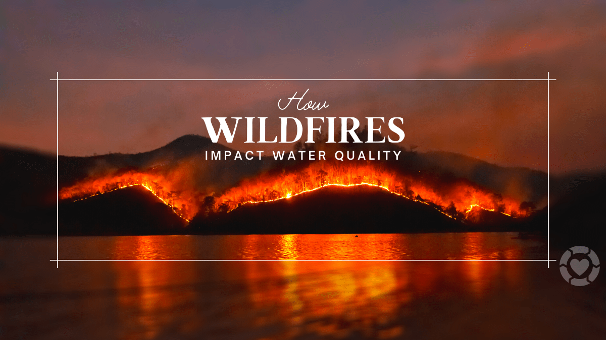 How Wildfires impact Water Quality | ecogreenlove