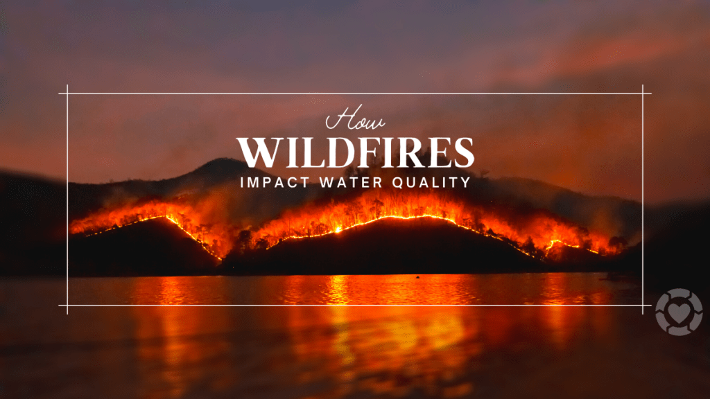 How Wildfires impact Water&nbsp;Quality