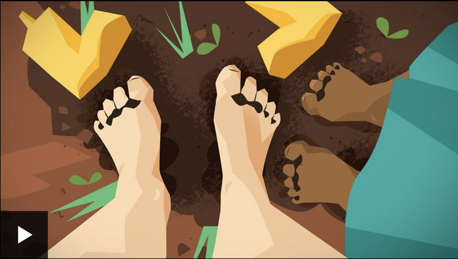 Amazing Soil [Video]