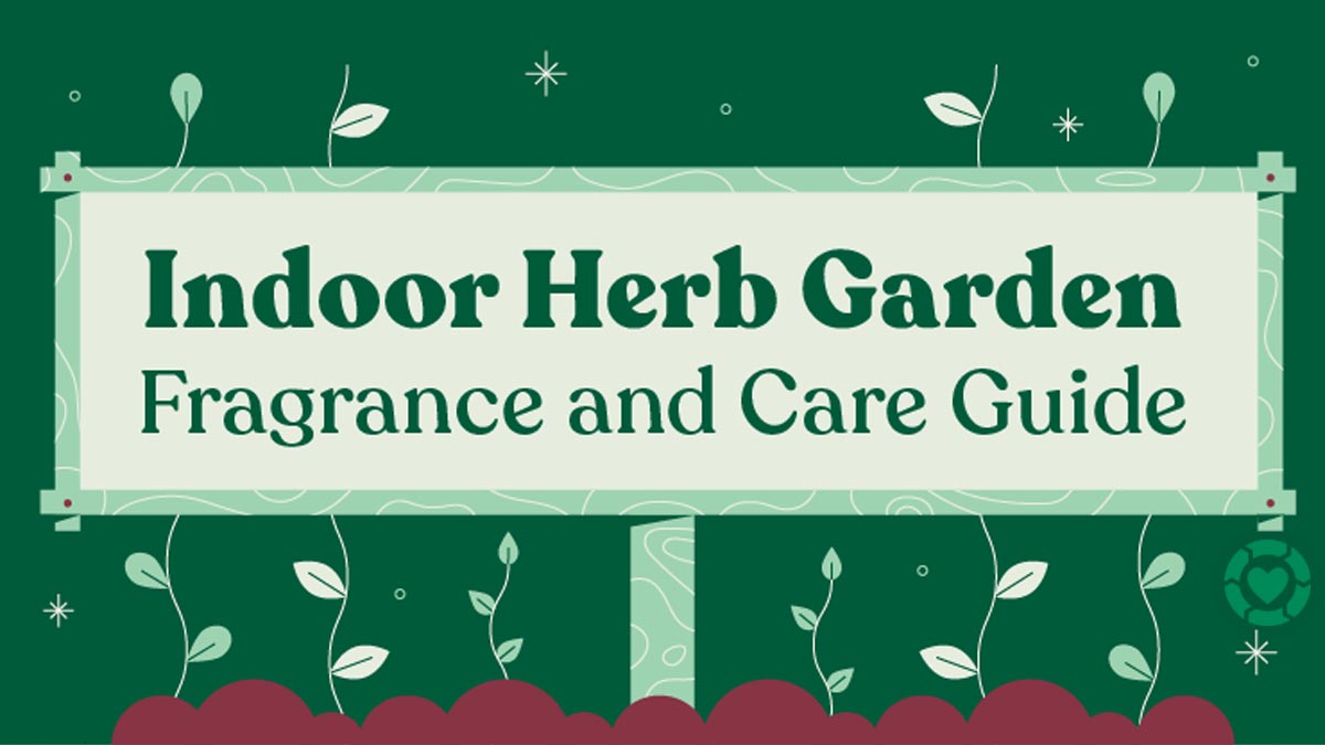 How to Make your own Fragrant Herb Garden [Visual] | ecogreenlove