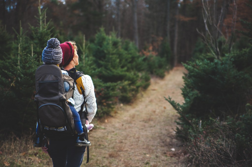 6 Sustainable Tips For Eco-Friendly Hiking and Planning | ecogreenlove