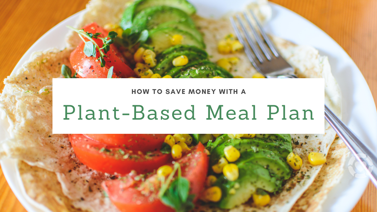 How to Save Money with a Plant-Based Meal Plan | ecogreenlove