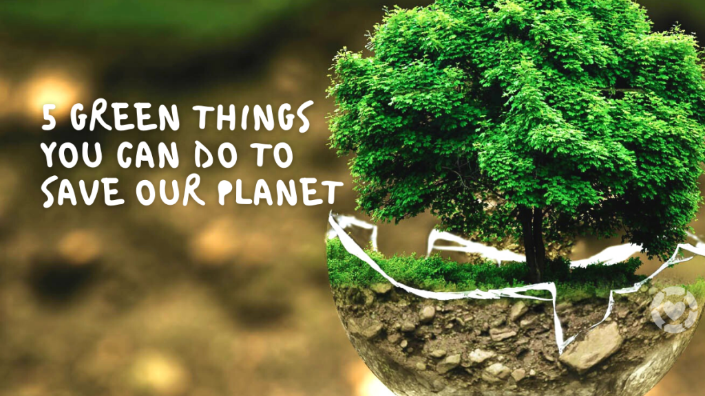 Five Green Things you can do to Save Our&nbsp;Planet