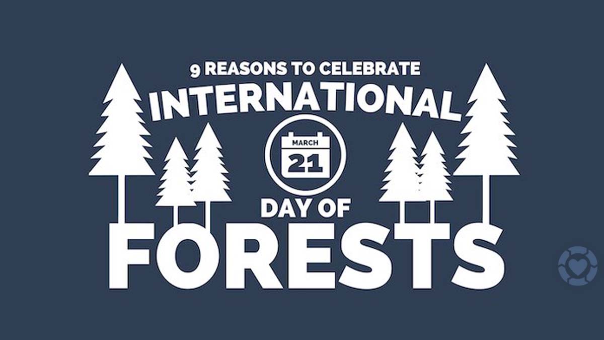 International Day of Forests 2021 [Visual] | ecogreenlove
