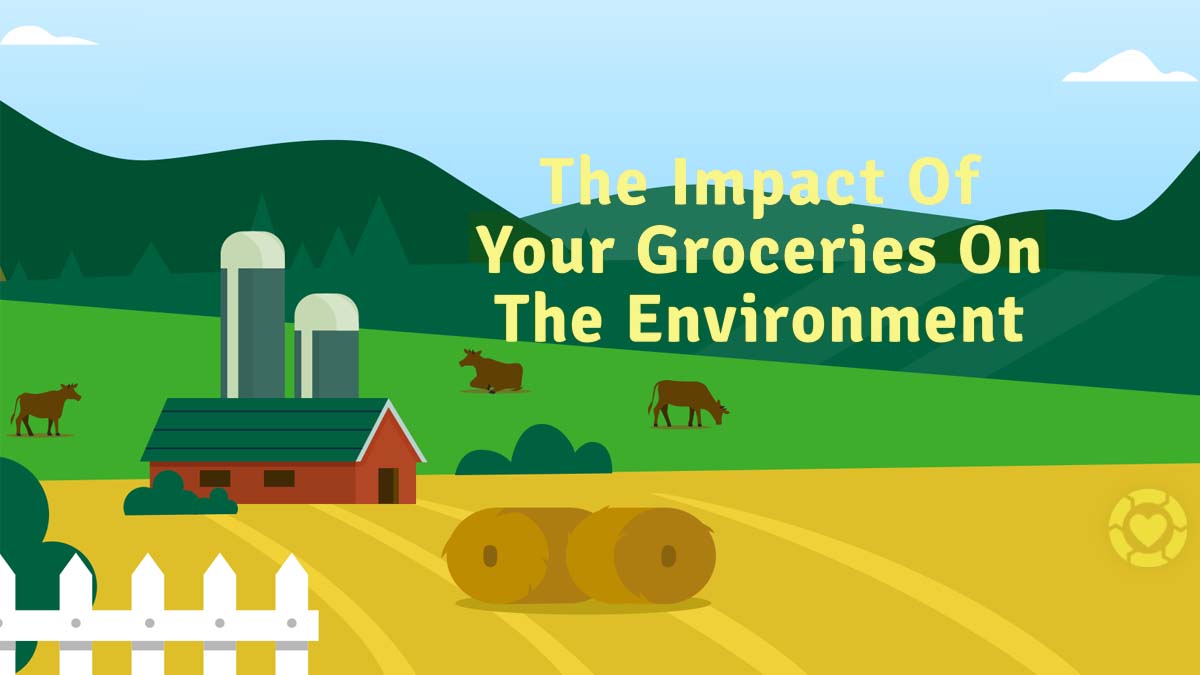 The Impact of your Groceries on the Environment [Visual] | ecogreenlove