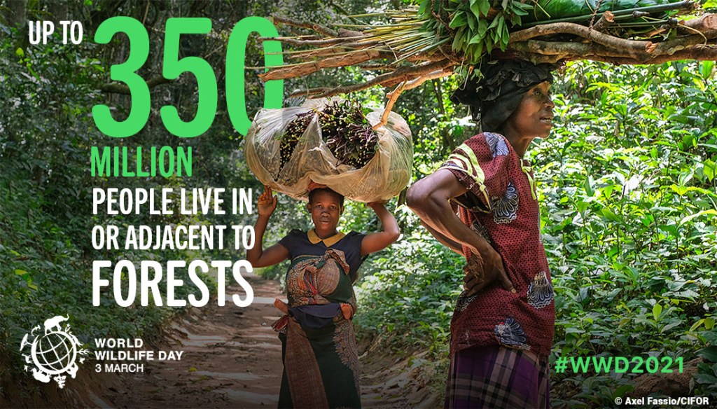 WWD - Forests and Livelihoods: Sustaining People and Planet | ecogreenlove