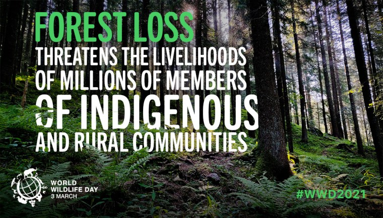 WWD - Forests and Livelihoods: Sustaining People and Planet | ecogreenlove