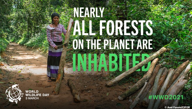 WWD - Forests and Livelihoods: Sustaining People and Planet | ecogreenlove