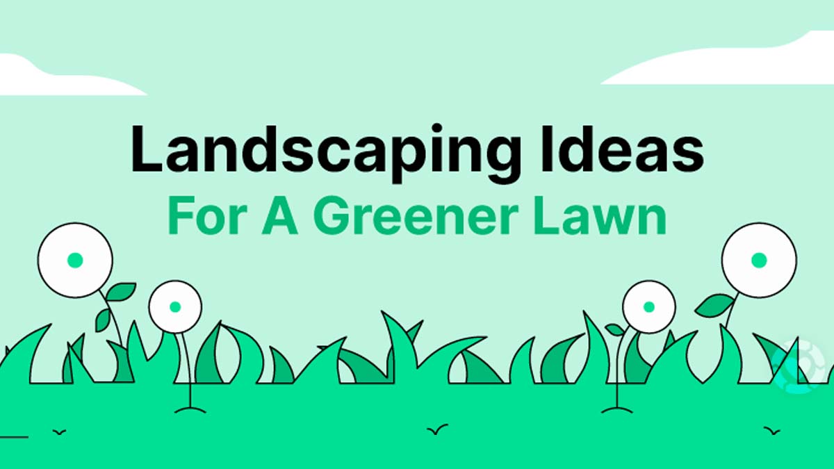 A Guide to Eco-Friendly Landscaping [Visual]