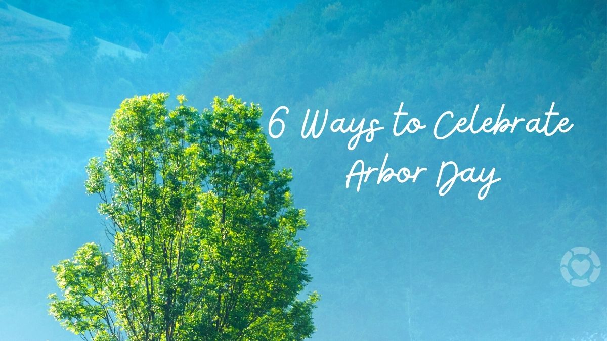6 Ways to Celebrate Arbor Day | ecogreenlove