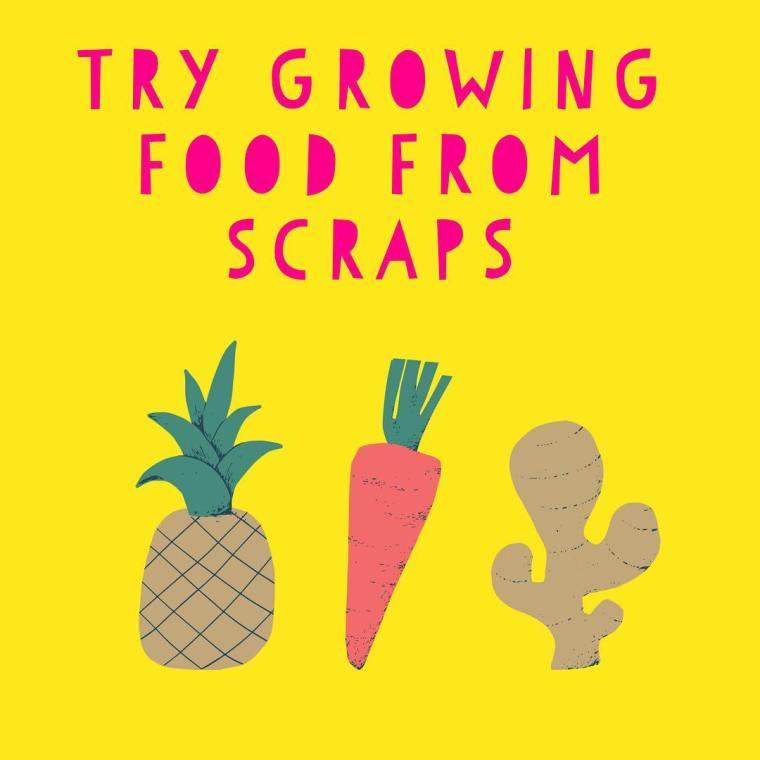 Earth Day Activities and Upcycling Crafts | ecogreenlove