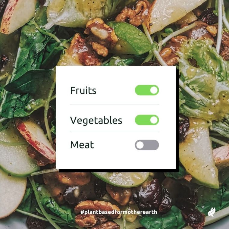 Earth Day Activities and Upcycling Crafts | ecogreenlove