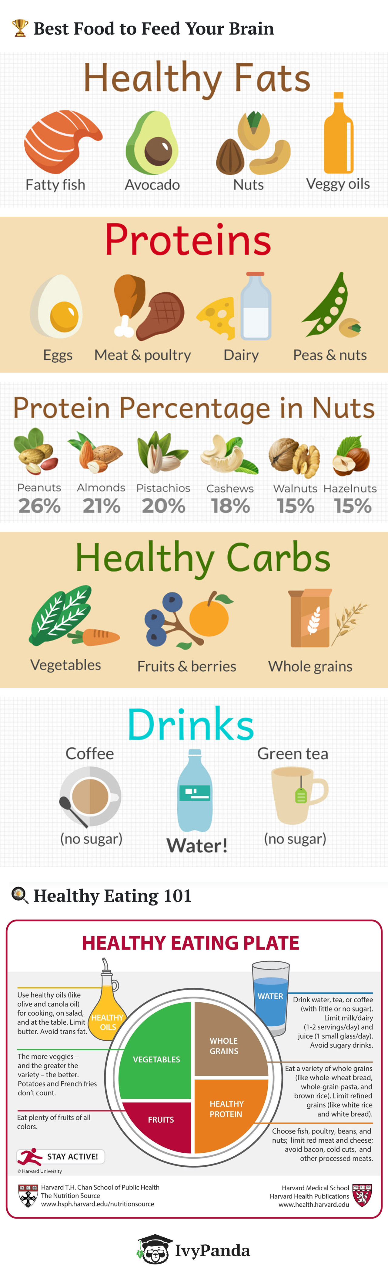 Healthy Eating [Best Foods] | ecogreenlove