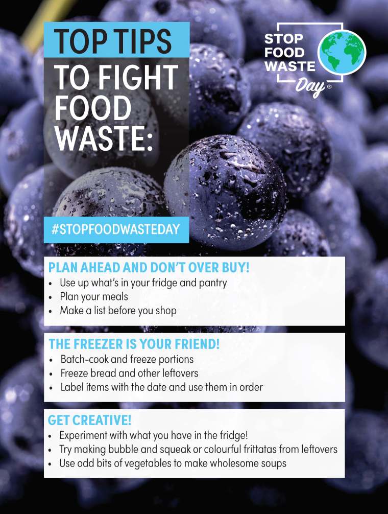 Top Tips to Fight Food Waste | ecogreenlove