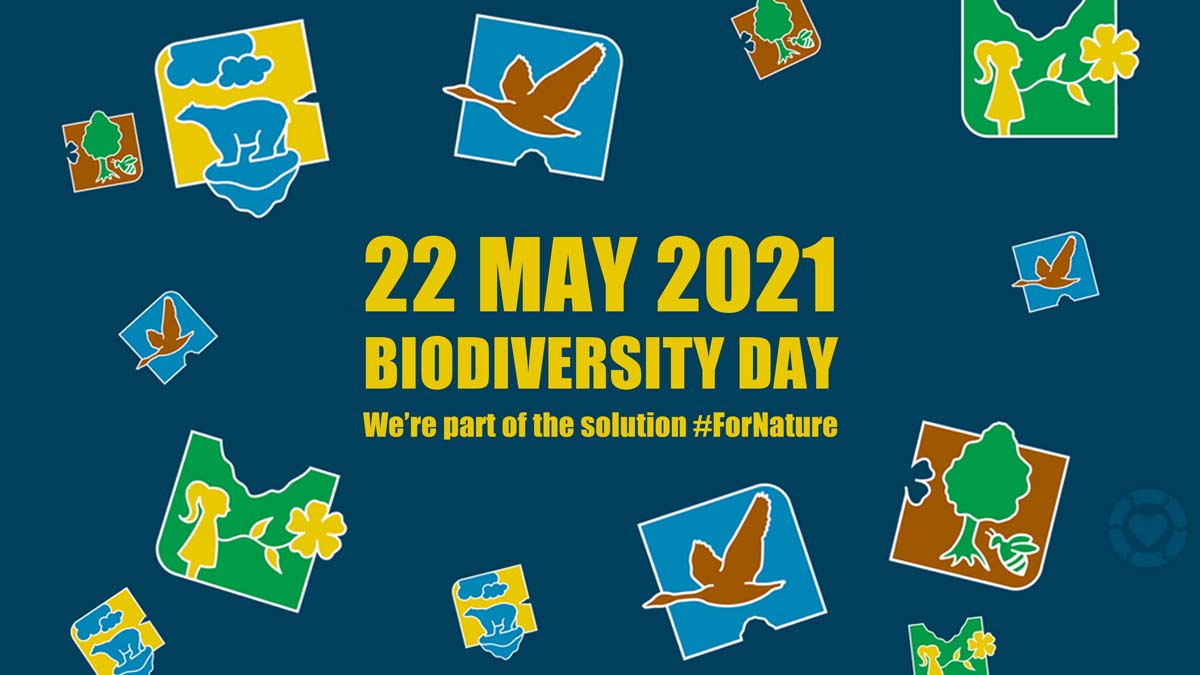 Biodiversity Day: We're part of the Solution | ecogreenlove