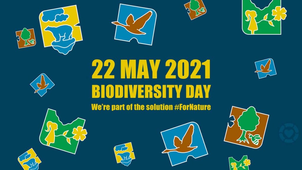 Biodiversity Day: We’re part of the&nbsp;Solution