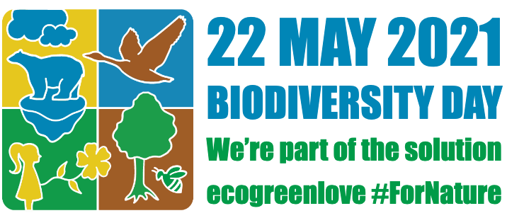 Biodiversity Day: We're part of the Solution | ecogreenlove