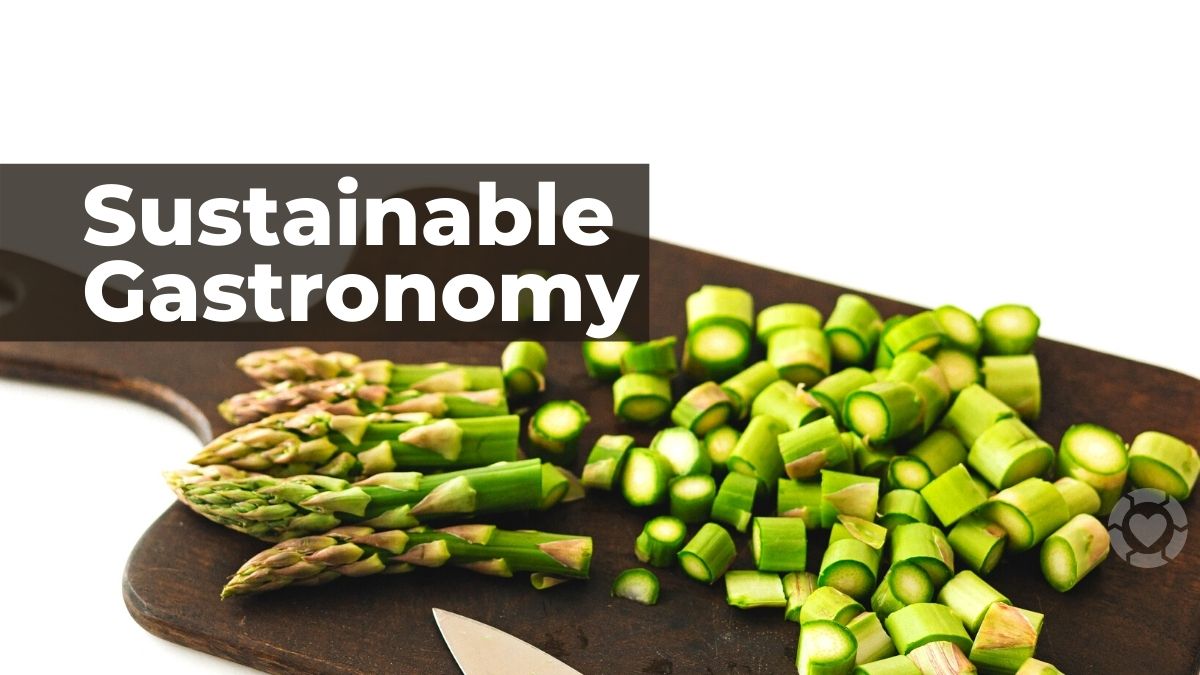 Promoting Sustainable Gastronomy [Visual] | ecogreenlove