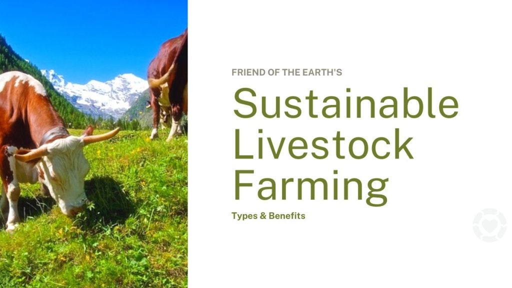 Sustainable Livestock Farming: Types &&nbsp;Benefits