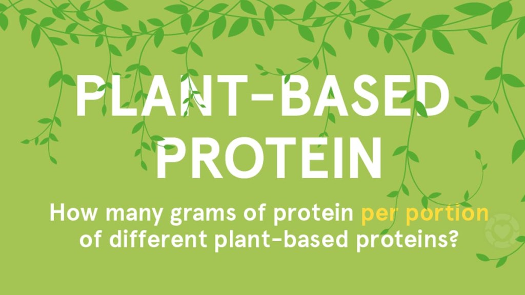 Plant-based Protein sources&nbsp;[Visual]