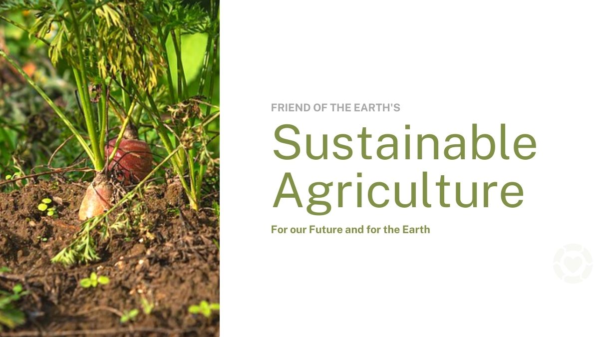 Sustainable Agriculture for our Future and for the Earth