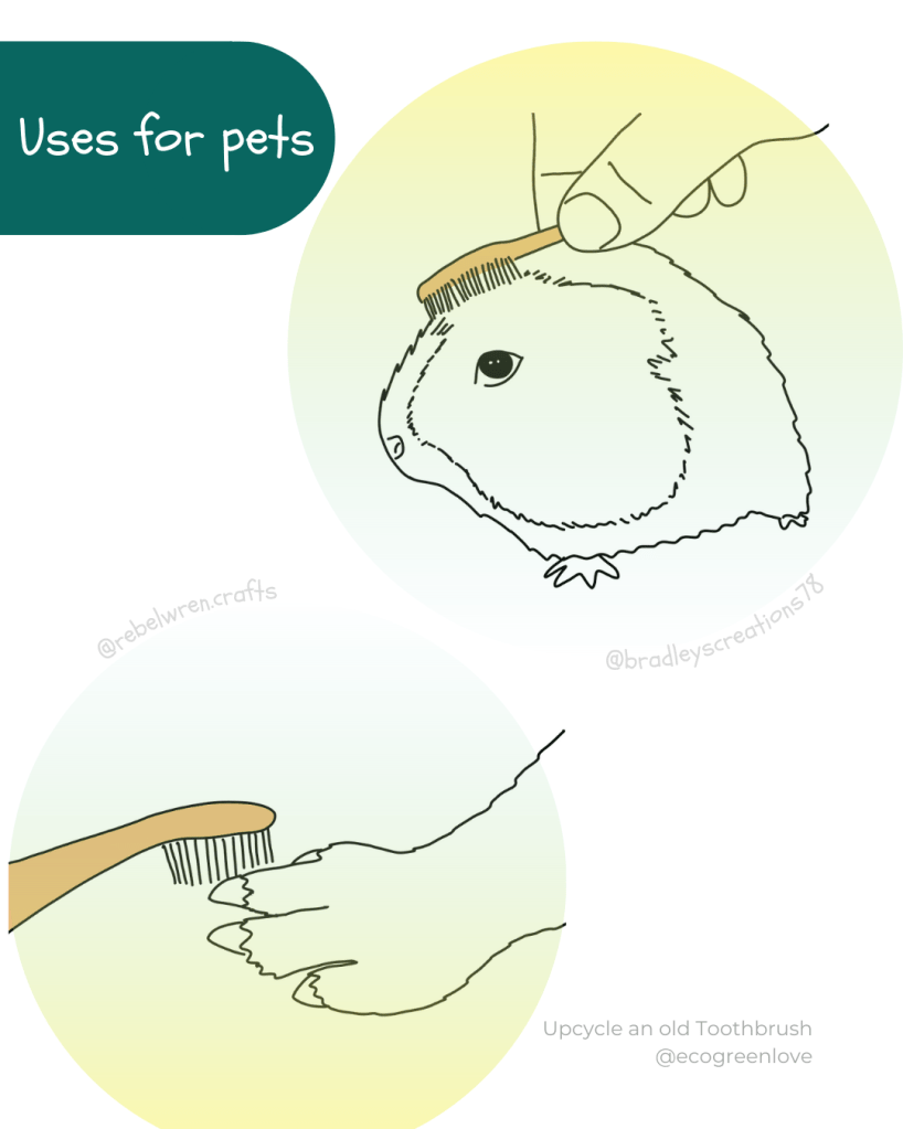 Repurpose old Toothbrush • for Pets | ecogreenlove