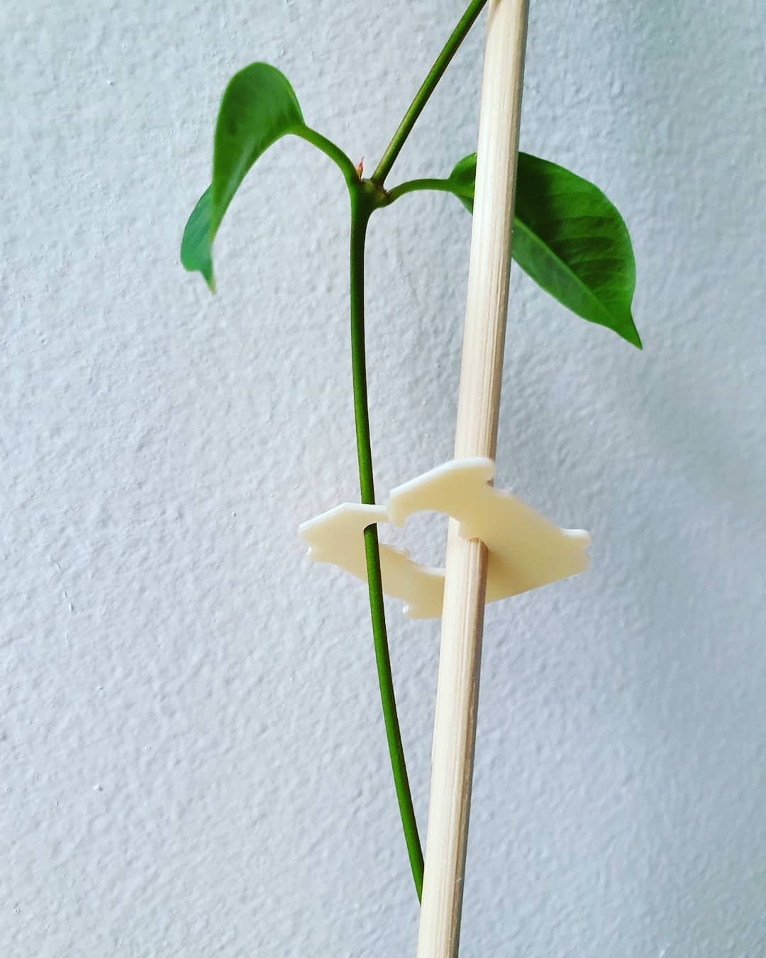 Upcycle Bread Clips • Plant supporter | ecogreenlove