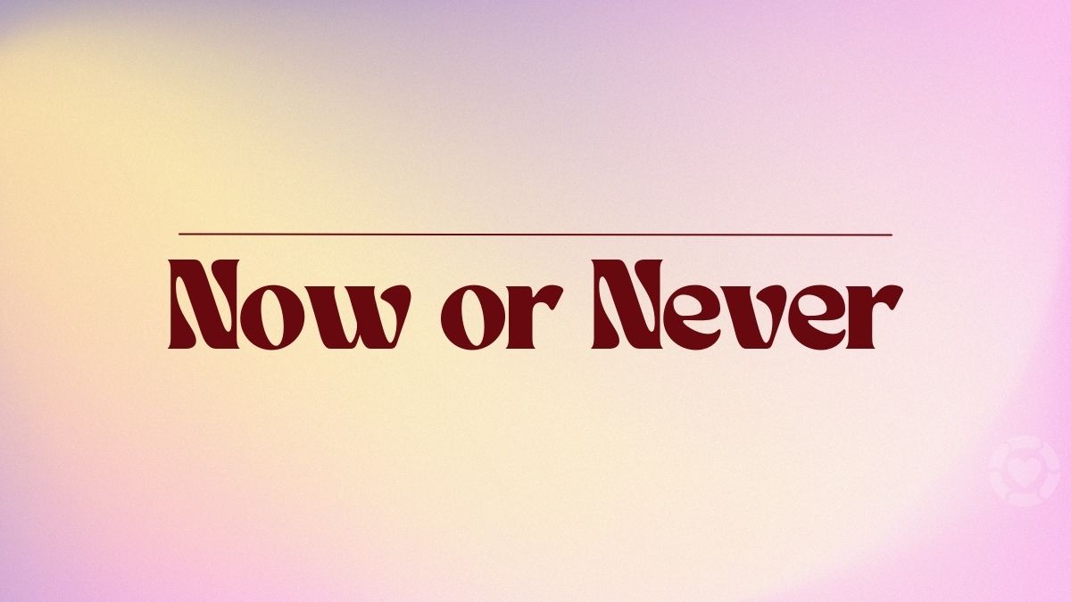 It's Now or Never | ecogreenlove