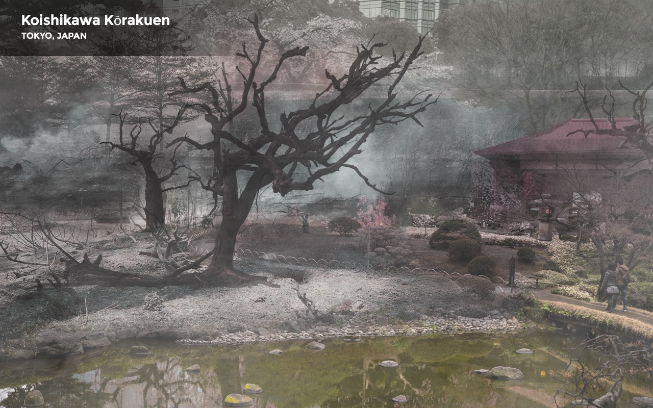 How Climate Crisis could impact 5 Famous Gardens around the World • Tokyo's Koishikawa Korakuen garden (After) | ecogreenlove