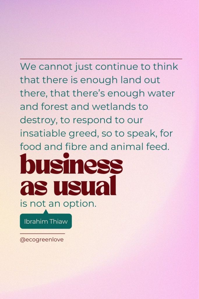 "We cannot just continue to think that there is enough land out there, that there’s enough water and forest and wetlands to destroy, to respond to our insatiable greed, so to speak, for food and fibre and animal feed. Business as usual is not an option." (Ibrahim Thiaw) | ecogreenlove