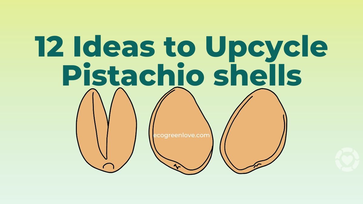 12 Ideas to Upcycle Pistachio shells