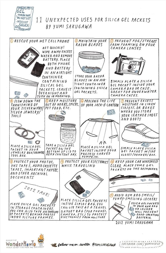 21 Ideas to Reuse Silica Packets | ecogreenlove
