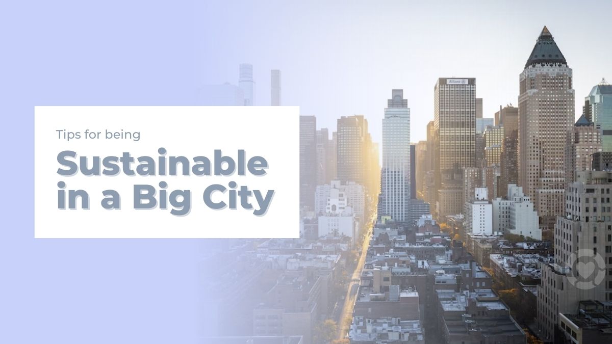 Tips for Being Sustainable in a Big City | ecogreenlove