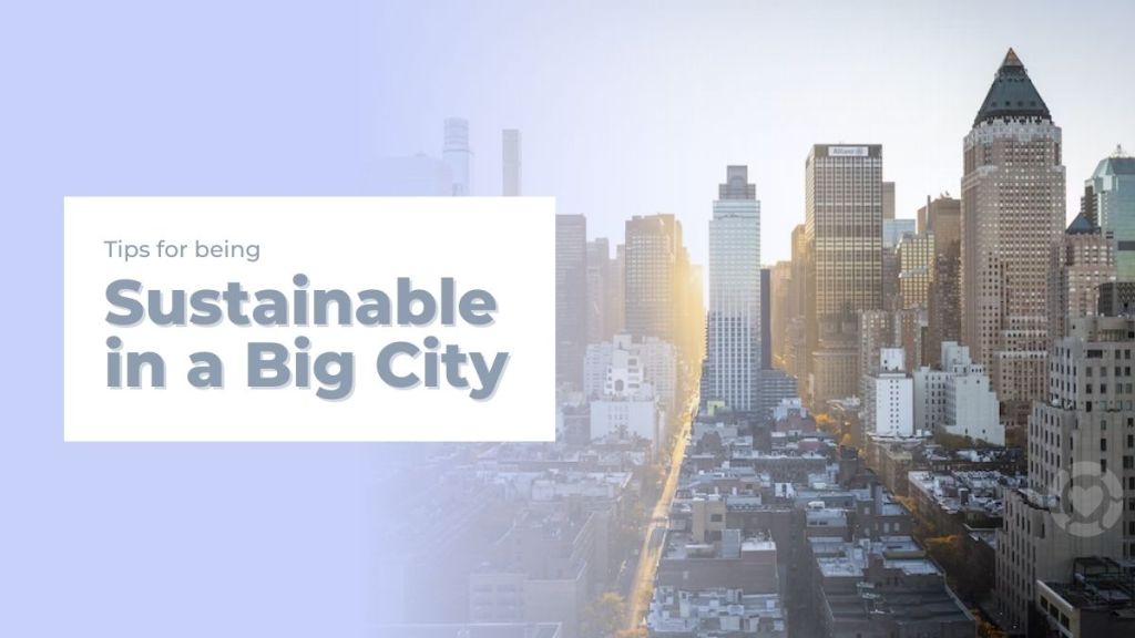 Tips for Being Sustainable in a Big&nbsp;City