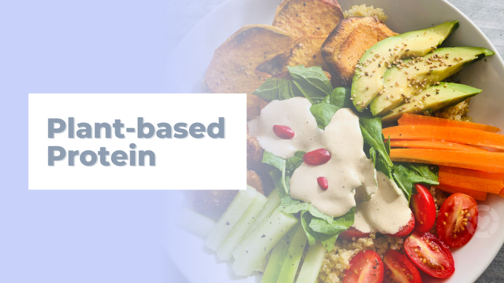 Plant-based Protein [Visuals]