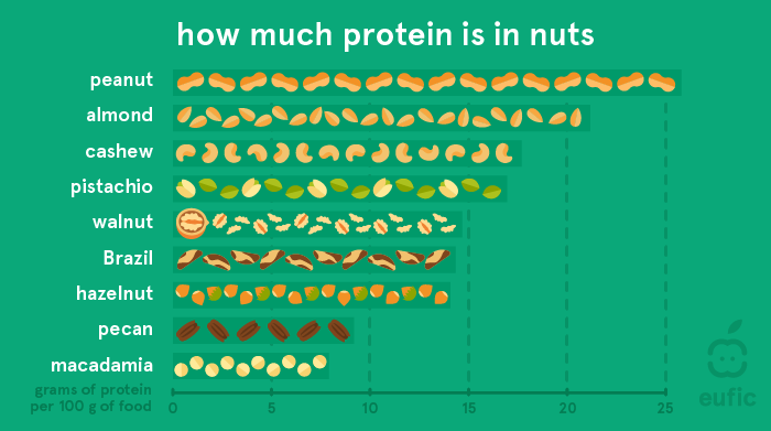 Plant-based protein • Protein in nuts | ecogreenlove Plant-based protein • Protein in nuts | ecogreenlove
peanut
almond
cashew
pistachio
walnut
Brazil
hazelnut
pecan
macadamia