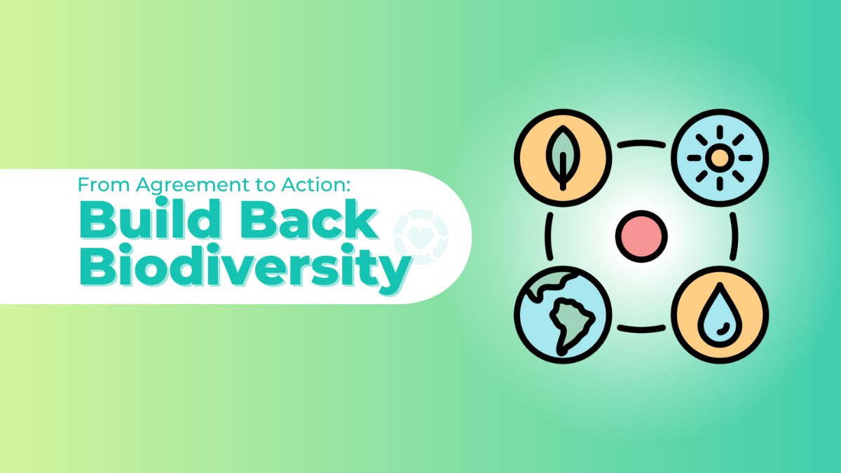 From Agreement to Action: Build Back Biodiversity | ecogreenlove