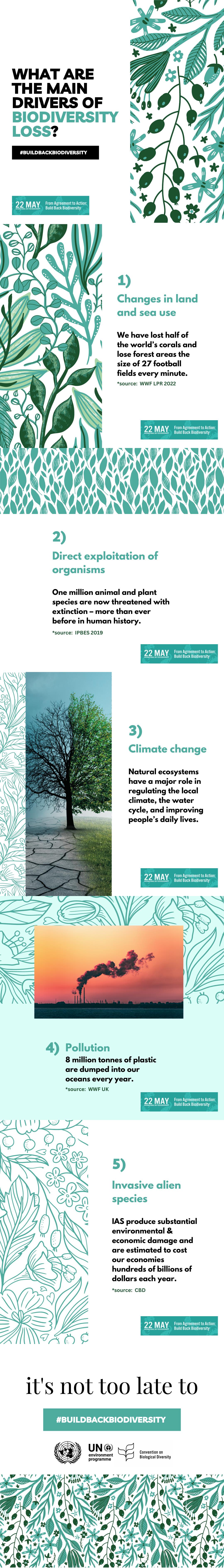 From Agreement to Action: Build Back Biodiversity • Drivers of Biodiversity Loss | ecogreenlove