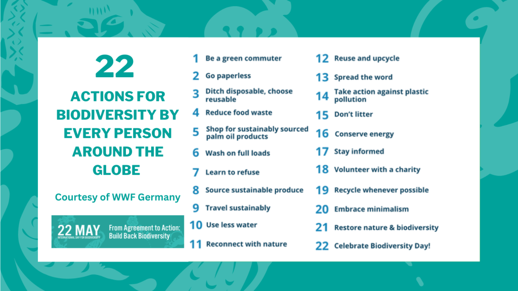 From Agreement to Action: Build Back Biodiversity • 22 Actions for Biodiversity by every person around the globe | ecogreenlove