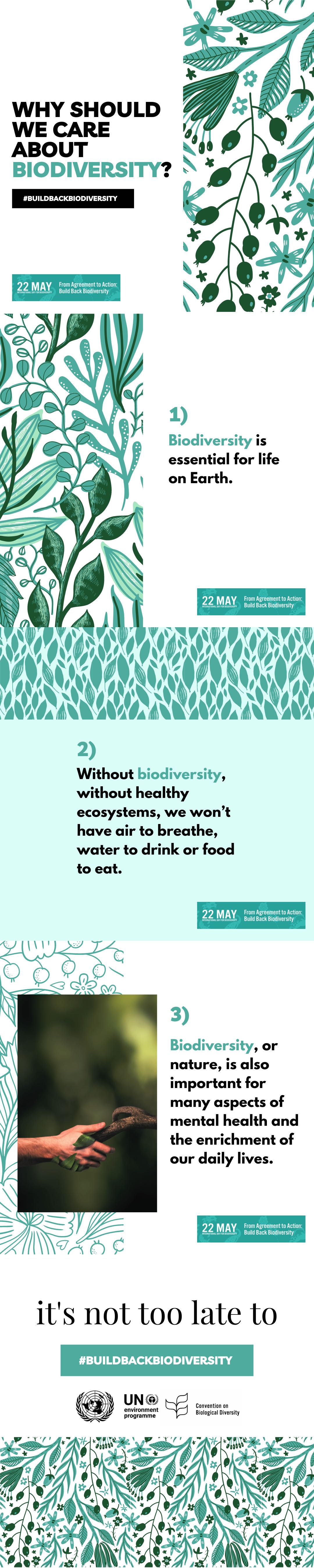 From Agreement to Action: Build Back Biodiversity • Why should we care about Biodiversity? | ecogreenlove