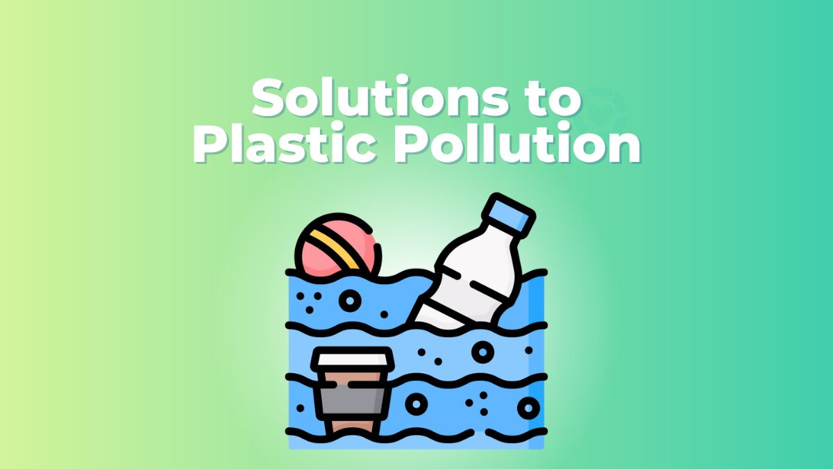 Solutions To Plastic Pollution Visual Ecogreenlove Solutions To Plastic Pollution Visual Ecogreenlove