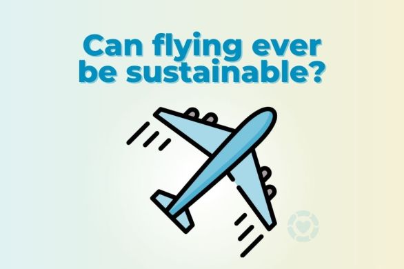 Can flying ever be sustainable? [Video] | ecogreenlove