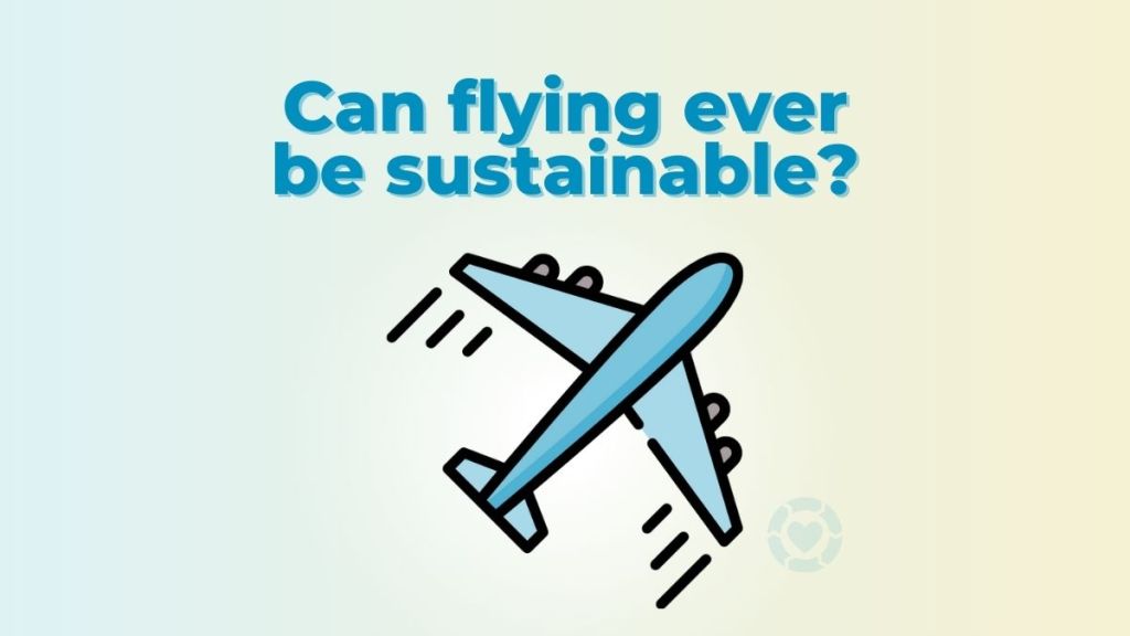 Can flying ever be sustainable?&nbsp;[Video]