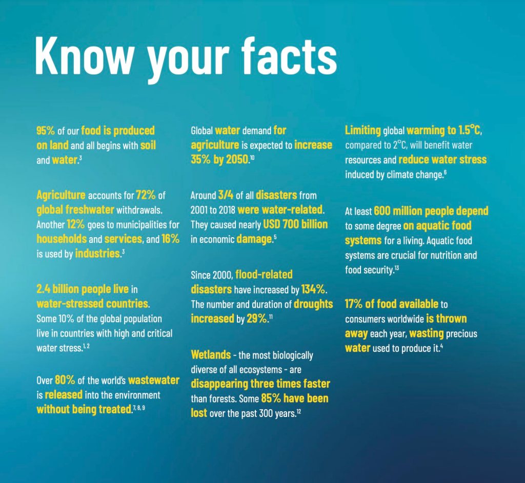 Know your Facts • World Food Day: Water is Life, Water is Food | ecogreenlove Know your Facts • World Food Day: Water is Life, Water is Food | ecogreenlove